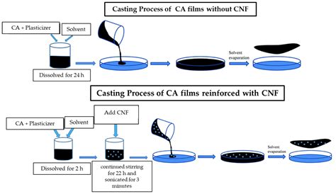  Cellulose Acetate: Exploring Its Wonders for Film and Membrane Applications!