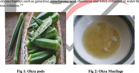  Okra Extraction - Unlocking the Potential of This Mucilaginous Marvel for Industrial Applications!