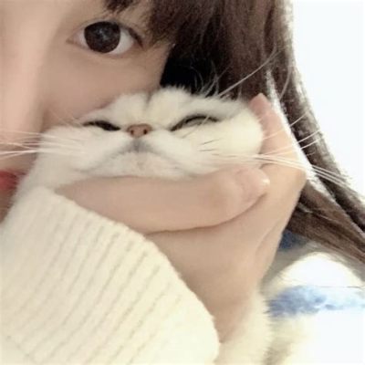 猫 アイコン 韓国: なぜ韓国の猫アイコンは日本で人気があるのか？